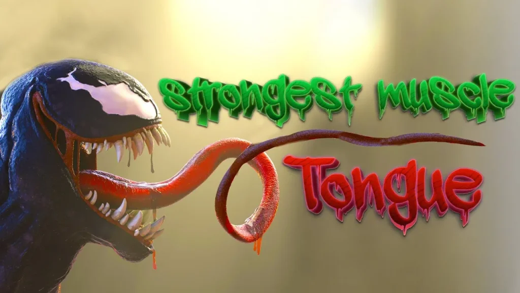 Is the Tongue the Strongest Muscle in the Human Body