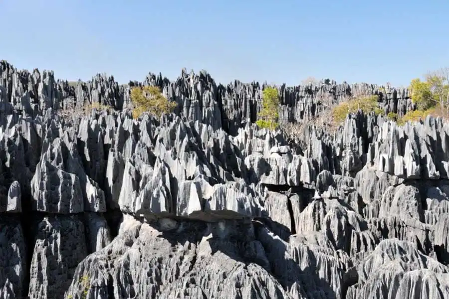 Forest of Knives’ Tsingy de Bemaraha National Park, Madagascar