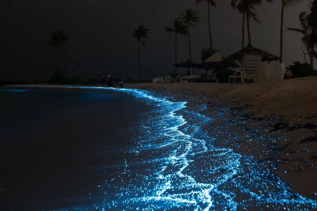 Glowing Beach, the Maldives and Jervis Bay